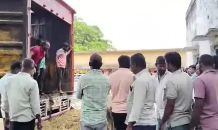 అలంపూర్: పుల్లూరు టోల్ ప్లాజా వద్ద అక్రమంగా తరలిస్తున్న 70 ఆవులను పట్టుకున్న అధికారులు