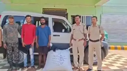 କଣ୍ଟାମାଳ: ଗୁଣ୍ଡୁଚିତରା ଗ୍ରାମ ନିକଟରୁ ବିପୁଳ ଗଞ୍ଜେଇ ସହ ଦୁଇ ମାଫିଆ ଗିରଫ