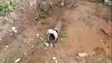 মেমারি ১: মেমারির 3 নং ওয়ার্ডে পানীয় জলের পাইপ ফেটে 5 দিন ধরে জলমগ্ন রাস্তা, সমস্যায় এলাকাবাসী #jansamasya