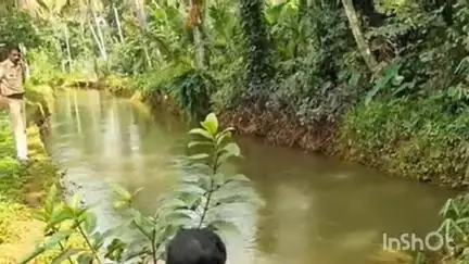 കോട്ടയം: മീനടത്ത് വെള്ളത്തിൽ വീണ് കാണാതായ 66-കാരന് വേണ്ടി തോടിന്റെ കരയിലും തിരച്ചിൽ