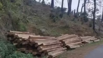 खुंडियां: खुंडिया के टीहरी में सड़क किनारे पडी चीड की पत्तियों और रखे स्लीपर पर लोगों ने जताई नाराजगी#जनसमस्या