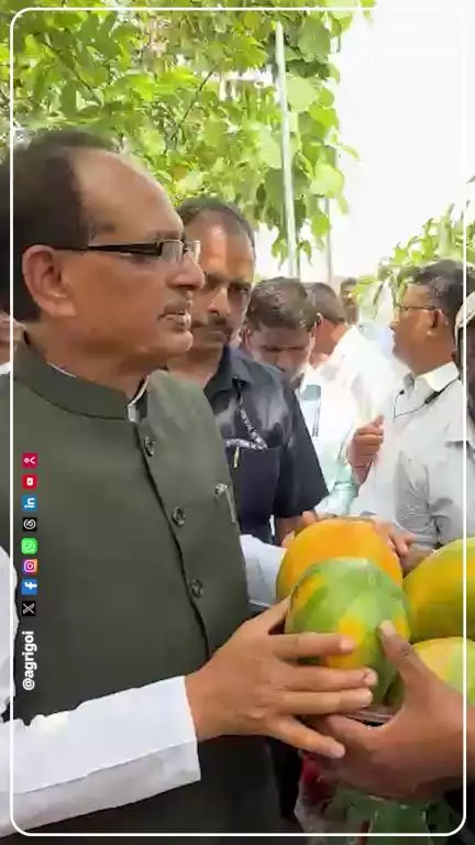 माननीय केंद्रीय कृषि मंत्री ने पपीता किसान राजेश यादव से की मुलाकात, सुने उनके कृषि अनुभव। 

#ViksitKrishiSankalp202