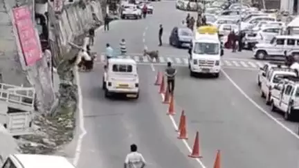 निचार: भावानगर में आवारा कुत्तों का आतंक, सड़क पर वाहनों की आवाजाही में हो रही परेशानी; लग रहा जाम