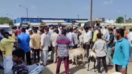 जालना: कृषी उत्पन्न बाजार समितीमध्ये जनावरांच्या बाजारात बाजार समिती अधिकारी व व्यापाऱ्यामध्ये राडा, आठवडी बाजार बंद