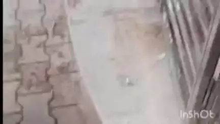 खमनोर: खमनोर के भेसडाकमेड हनुमान मंदिर में पुजारी की मूर्ति खंडित, ग्रामवासियों में आक्रोश