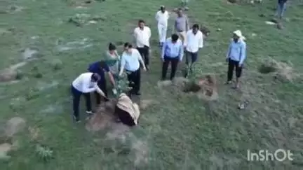 बेहट: जयंतीपुर में जिला उपायुक्त ने वृक्षारोपण का किया निरीक्षण