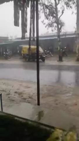 pasgadi papredi me hui joro ki varish 03/06/2025