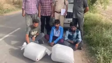 सिरसा: एंटी नारकोटिक्स सेल ने ऐलनाबाद में 23 किलो डोडा चूरा पोस्त के साथ 3 युवकों को किया गिरफ्तार