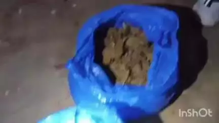 मनेर: जयप्रकाश नगर में पुलिस ने साढ़े तीन किलो गांजे के साथ कारोबारी बाप-बेटे को किया गिरफ्तार