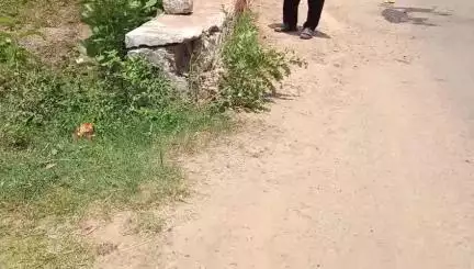 कांकेर: मालगांव के पास ऑटो चालक को झपकी आने से छोटे पुल से टकराकर पलटा ऑटो, चार लोग हुए घायल