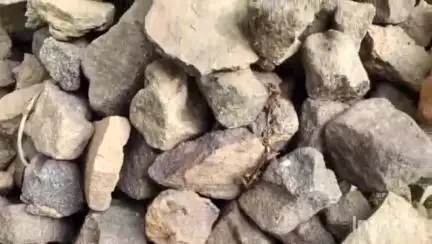 कुंवारपुर वन परिक्षेत्र के बाघऊर नाले में भ्रष्टाचार का खुला खेल, तीसरी बार एनीकट निर्माण में गड़बड़ी, रेंजर साहब खुद