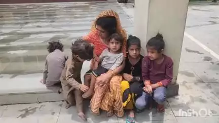 विदिशा नगर: नटेरन तहसील के ग्राम टोपा खेड़ी की महिला ने कलेक्ट्रेट में लगाई गुहार