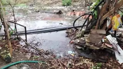 khurai nagar palika se aawedan ke bawajood 1barsh me, koi santosh janak nirakaran nahi kiya gya. gadoula naka gate no. 8
