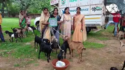घाघरा: प्रखंड कार्यालय परिसर में पशुपालन विभाग ने 18 लाभुकों को बकरा-बकरी यूनिट का किया वितरण