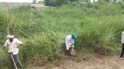 तीसरे दिन भी ईशन नदी पर श्रमदान का कार्य जारी रहा जिसमें क्षेत्रीय साथियों ने बढ़ चढ़ कर भाग लिया 


आपको अवगत कराना है कि आज दिनांक 03.06.2025 को प्रातः 07 बजे से 09 बजे तक ईशन नदी बचाओ अभियान के तहत चल रहे श्रमद