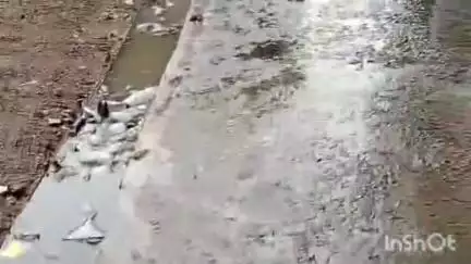 बंडा: वार्ड 8 के मुहल्ले में बारिश का पानी नालियों से सड़क और घरों में घुसता है, ज्ञापन के बाद भी नहीं हुआ समाधान #jansamasya