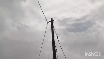 त्योंथर: बिजली की समस्या से परेशान है त्यौंथर के लोग सरकार से समस्या को दूर करने की मांग की।
#jansamasya