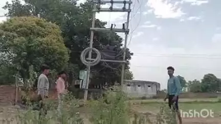 सिकंदराराऊ: सराय जरेरा में 6 महीने से टूटी पड़ी विद्युत लाइन, आधे गांव की विद्युत आपूर्ति भंग, ग्रामीणों ने जताया आक्रोश