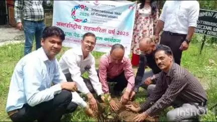 डुंडा: अंतरराष्ट्रीय सहकारिता वर्ष पर बैंक कर्मचारियों और अन्य संगठनों ने राजकीय पॉलीटेक्निक में पौध रोपण किया