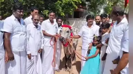 இலுப்பூர்: விஜயபாஸ்கர் MLA அன்னவாசலில் புதிதாக கட்டப்பட்ட அங்கன்வாடி கட்டிடத்தை திறந்து வைத்தார்