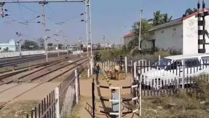 मोहाडी: इंदुरका येथे रेल्वे रुळाजवळ आढळला अनोळखी इसमाचा मृतदेह, घटनेचा मर्ग मोहाडी पोलिसात दाखल