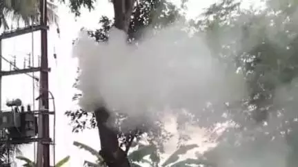 ଭୋଗରାଇ: କୁମ୍ଭାରମୁଳି ପଞ୍ଚାୟତ ରେ ବଜ୍ରପାତରେ ଜଳିଲା ଗଛ,ଅଳ୍ପକେ ବର୍ତିଲେ ନିକଟସ୍ଥ ପରିବାର