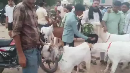 झांसी: कसाई मंडी, बाहर ओरछा गेट, ताड़ी खाना में कुर्बानी के लिए बकरों की मंडी सजने लगी