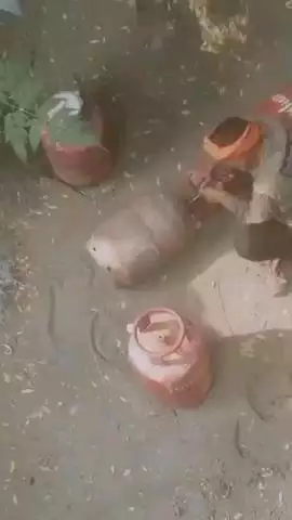 जानकीपुरम थाना अंतर्गत रमपुरवा गांव में गैस की अवैध रिफिलिंग का वीडियो हुआ वायरल