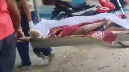 ক্যানিং ১: ক্যানিং মহকুমা হাসপাতালে যুবতির মৃত্যু, মৃতদেহ উদ্ধার করে ময়নাতদন্তের জন্য পাঠাল পুলিশ