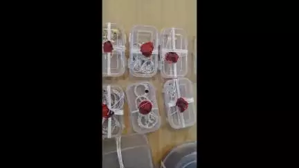 कनाड़िया: कनाड़िया क्षेत्र में पुलिस अधिकारी के घर लाखों की चोरी करने वाले दो बदमाश गिरफ्तार