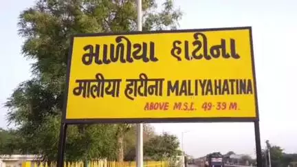 માળીયા હાટીના: માળિયા હાટીના ની ૨૫ ગ્રામ પંચાયતની ચુંટણીનું જાહેરનામું બહાર પડતા રાજકીય ગતિવિધિ તેજ