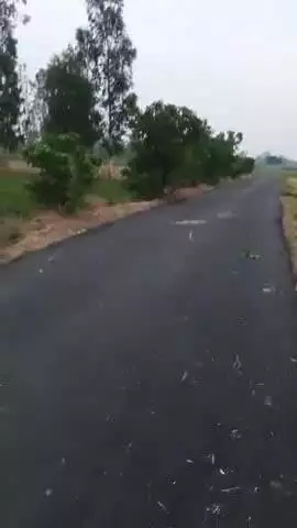 सहाड़ीगंज रोड से सुल्तानपुर भवानीगंज जाने वाली मार्ग पर डामर रोड का कार्य चल रहा है जिस पर मिट्टी नहीं हटाई गई है इस परड