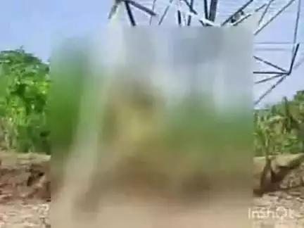 कुरूद: ग्राम डोमा गुजारा के बीच रोड किनारे लगे विद्युत टॉवर में महिला ने फांसी लगाकर दी जान, 1 साल पहले हुई थी शादी