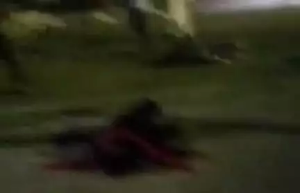 रूड़की: पिरान कलियर में दरगाह साबिर पाक में हाजिरी लगाने आई दलित महिला पर मुस्लिम दबंगों ने लाठी-डंडों से किया हमला