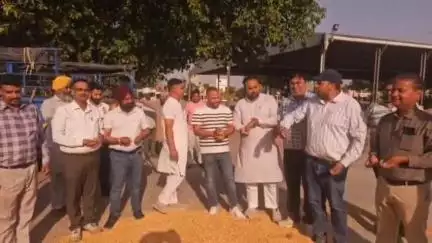 ਖੰਨਾ: ਮਾਛੀਵਾਡ਼ਾ ਅਨਾਜ ਮੰਡੀ ਵਿਚ ਮੱਕੀ ਦੀ ਆਮਦ ਸ਼ੁਰੂ
ਸਮਰਥਨ ਮੁੱਲ ਤੋਂ ਵੱਧ 2500 ਰੁਪਏ ਪ੍ਰਤੀ ਕੁਇੰਟਲ ਵਿਕੀ