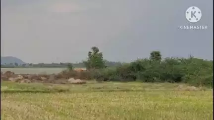 శాలిగౌరారం: పట్టా భూమిని అక్రమంగా కబ్జా చేస్తున్న చర్యలు తీసుకోవాలని బాధితుల ఆవేదన #localissue