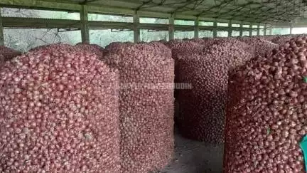 यवतमाळ: जिल्ह्यात कांदाचाळ, लसूण साठवणूकगृहाचा लाभ घेण्याचे आवाहन