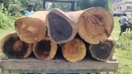 আলিপুরদুয়ার ২: শিলটং উপরবস্তি এলাকা থেকে প্রায় ৪০ সিএফটি কাঠ উদ্ধার করলেন বন কর্মীরা