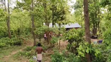 বিনপুর ২: জঙ্গলের উপর অবৈধ ঘর তৈরি করার অভিযোগ, বনদপ্তরের পক্ষথেকে টংভেদা এলাকার জঙ্গল পরিদর্শন করা হয়
