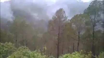 कांडा: जंगल धधकने का सिलसिला नहीं थम रहा, विश्व प्रसिद्ध जोगाबाड़ी गुफा भी आई चपेट में, अर्जुन माजिला ने विभाग से लगाई गुहार