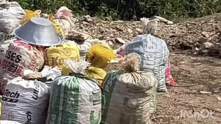 गावां: धरवे और कुसमाय वन विभाग की टीम ने छापेमारी कर दो क्विंटल ढीबरा ज़ब्त किया