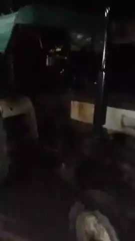 लकड़ी का अवैध कटान चल रहा है ग्राम व पोस्ट मीरपुर जिला लखीमपुर खीरी यूपी