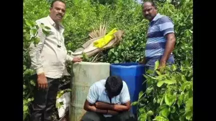 కరగపాడులో నాటు సారా బట్టిల ధ్వంసం, ఒకరు అరెస్ట్