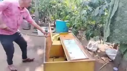 ಮೂಡಿಗೆರೆ: ಜನ್ನಾಪುರ ಗ್ರಾಮದಲ್ಲಿ ಬೀರುವಿನಲ್ಲಿ ಕಾಣಿಸಿಕೊಂಡ ಮಂಡಲ ಹಾವು