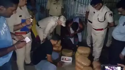 কৃষ্ণনগর ১: কোতোয়ালি থানার অন্তর্গত ঘোড়াপট্টি এলাকা থেকে উদ্ধার বিপুল পরিমাণ গাজা