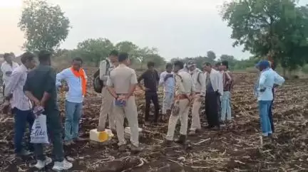 राजपुर: ग्राम लिम्बई में मिले अज्ञात जानवर के पंजों के निशान, जांच में जुटी वन विभाग की टीम