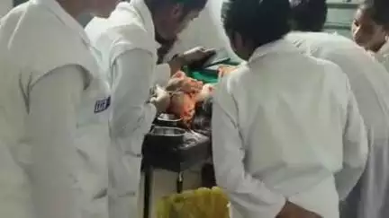 बरहेट: रांगा गांव में बाइक की टक्कर से महिला घायल, सीएचसी बरहेट में हुआ प्राथमिक उपचार