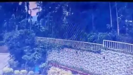 വെള്ളരിക്കുണ്ട്: പാണത്തൂരിൽ സ്കൂൾ വിദ്യാർത്ഥികൾ സഞ്ചരിച്ച ജീപ്പും കാറും കൂട്ടിയിടിച്ച് 14 പേർക്ക് പരിക്ക്