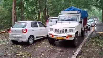 तेज आंधी-तूफान से नेशनल हाईवे कलेसर पर भारी पेड़ गिरने से लगा जाम
