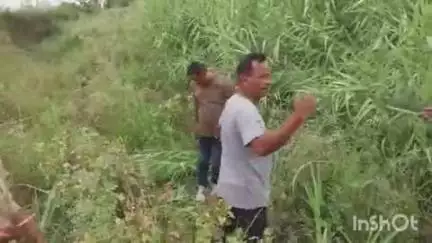 धनघटा: सिरसी गांव के समीप अनियंत्रित होकर मोटरसाइकिल पोल से टकराई, दो लोग हुए घायल
